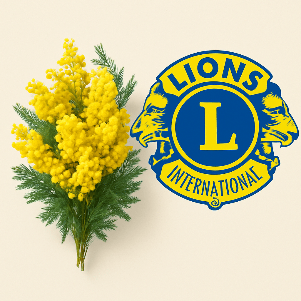 Lions Mimosas Bouquet de Mimosas avec logo du lions club