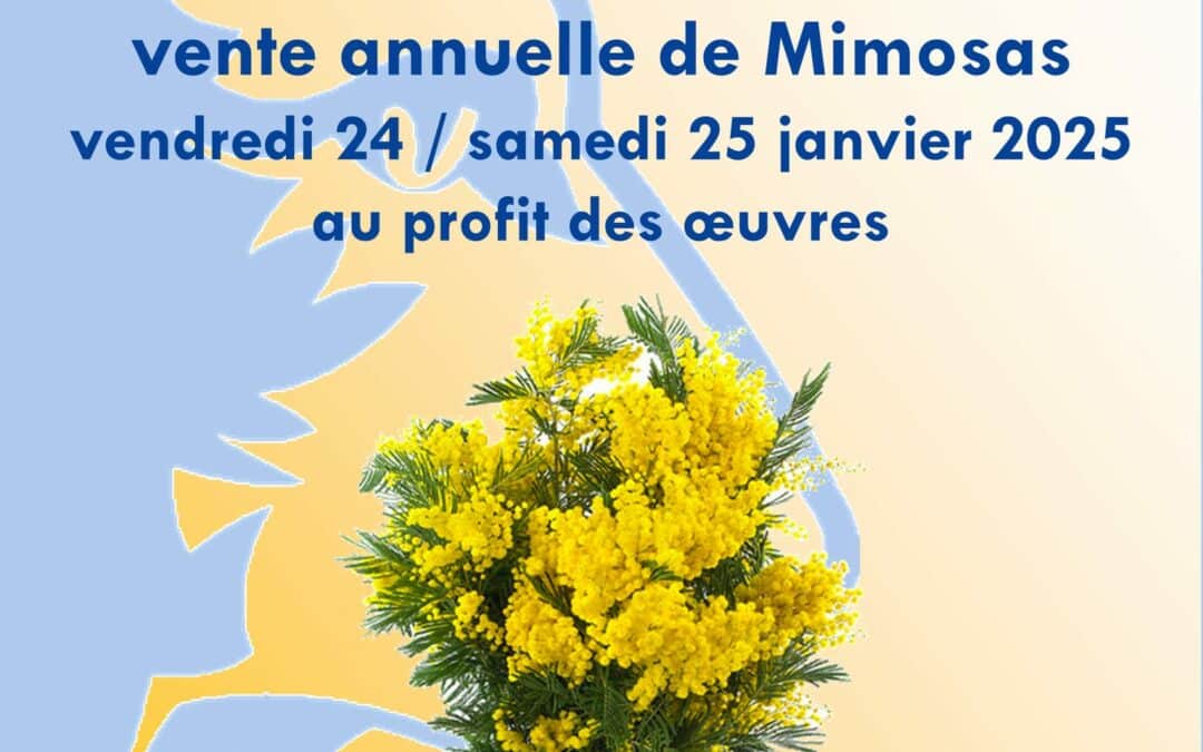 Vente de mimosas 2025